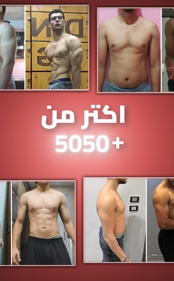 FITSAVIOR 204